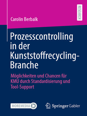 cover image of Prozesscontrolling in der Kunststoffrecycling-Branche